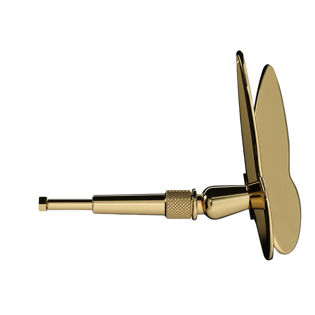 Glossy Gold Butterfly