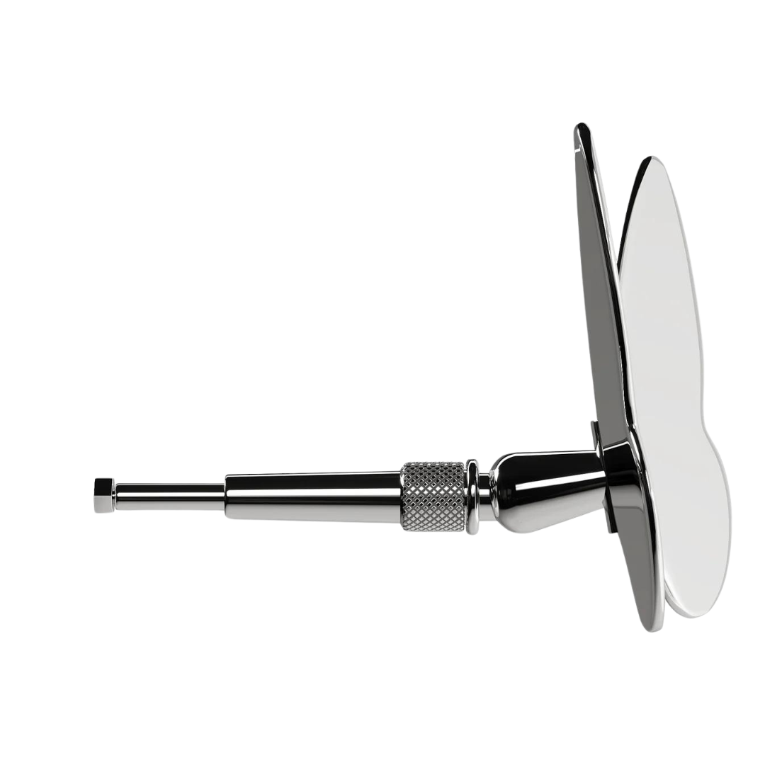 Chrome Butterfly