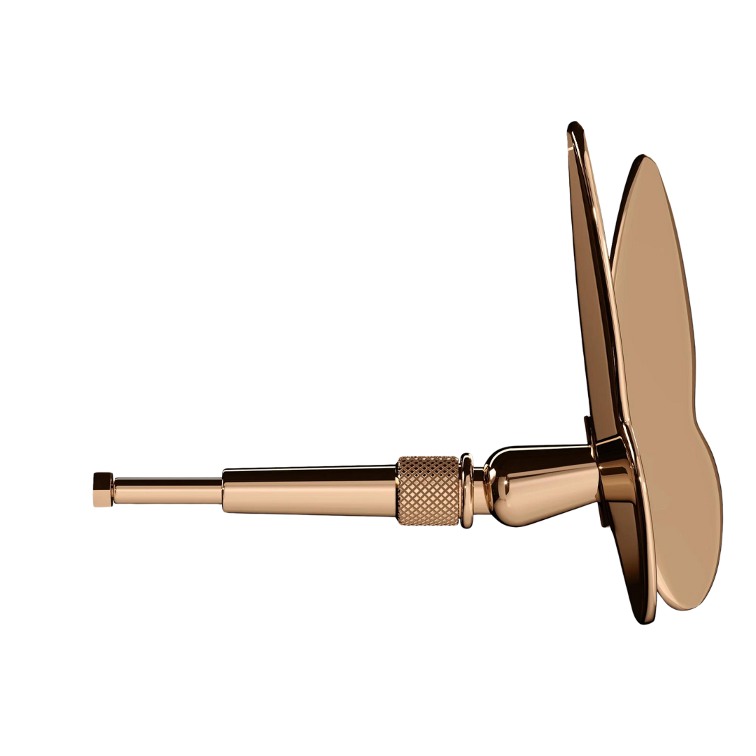 Rose Gold Butterfly