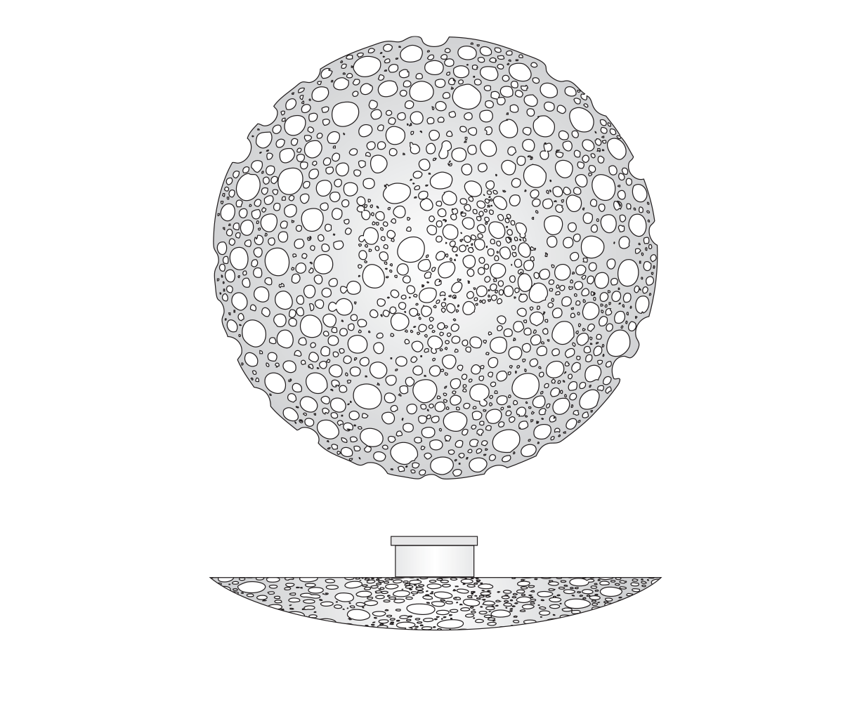Shield Flush Mount