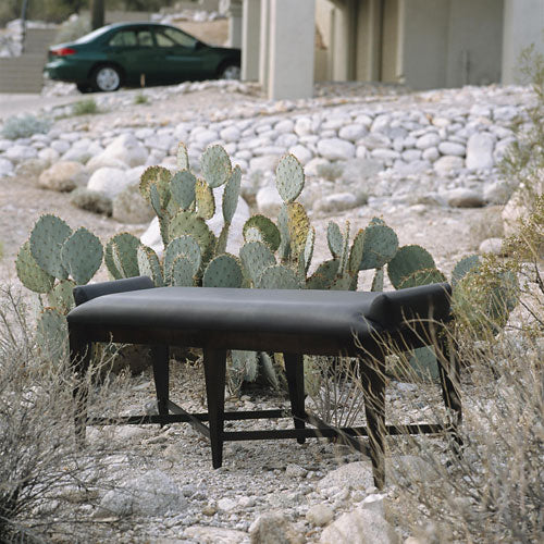 Lynxx Bench
