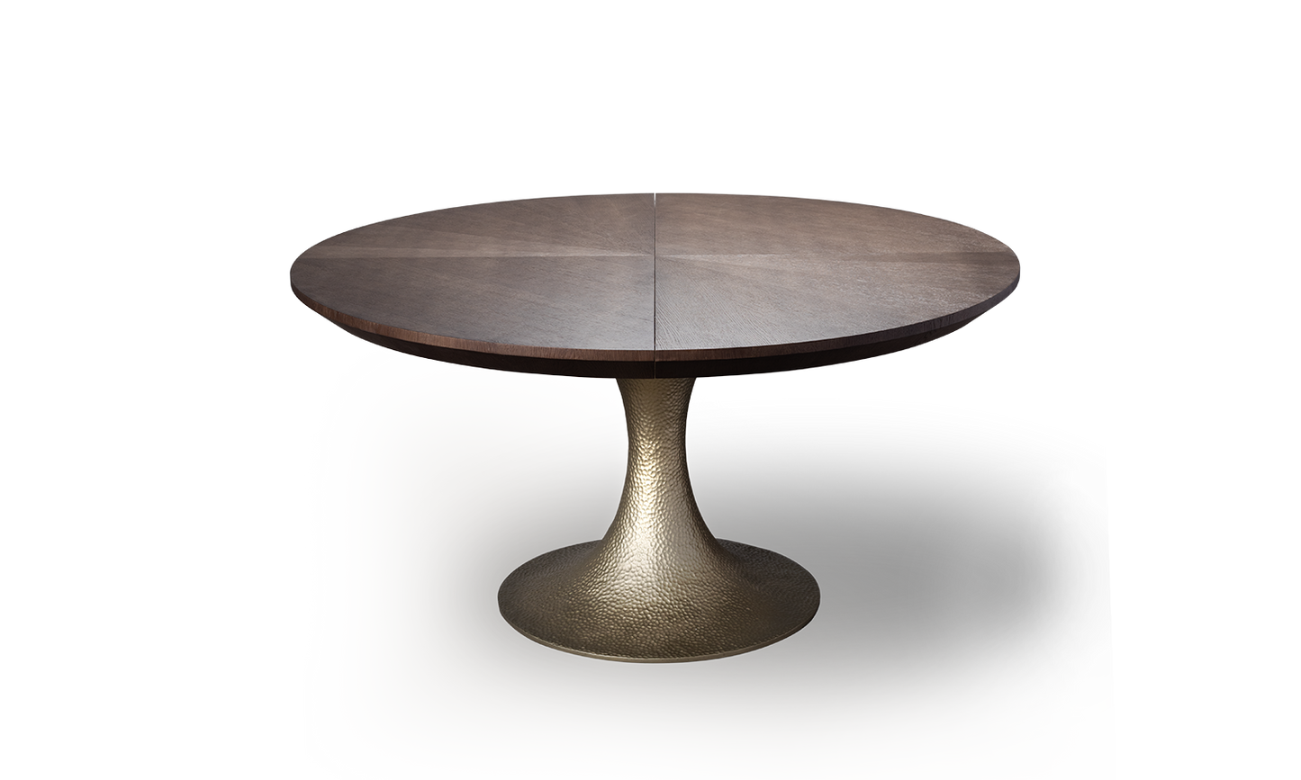 INES EXTENSION TABLE