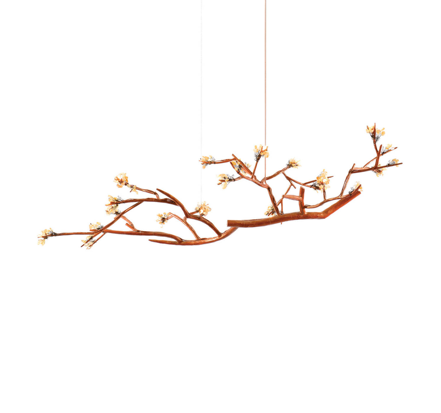 Coral Sea Chandelier