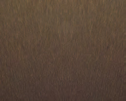 Brushed Bronze