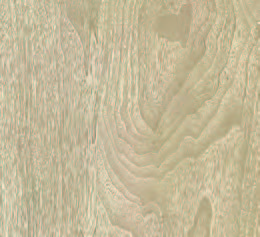 Jasper Walnut