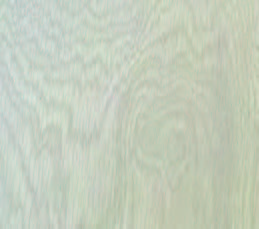 Oyster Oak