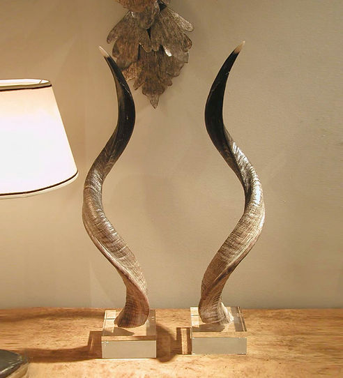 Horns