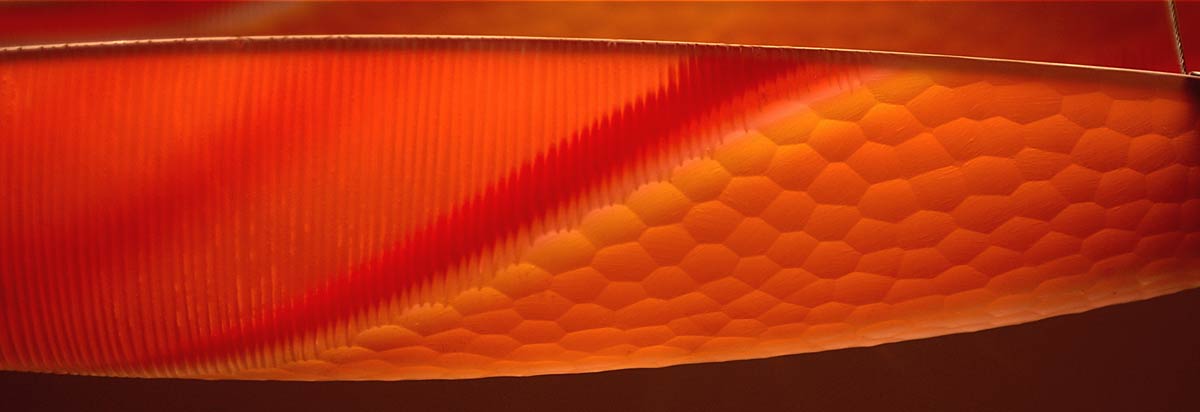 Canoes