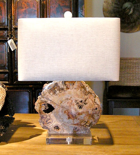 Holbrook Lamp (Petrified Wood)