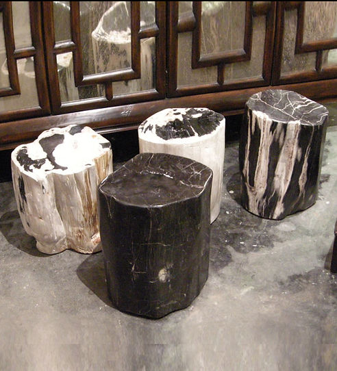 Petrified Wood End Tables