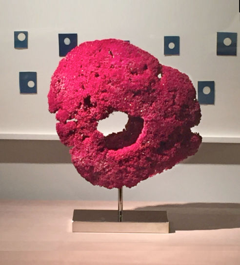 Pipe Organ Coral