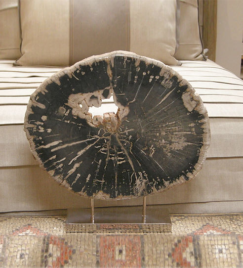 Petrified Wood