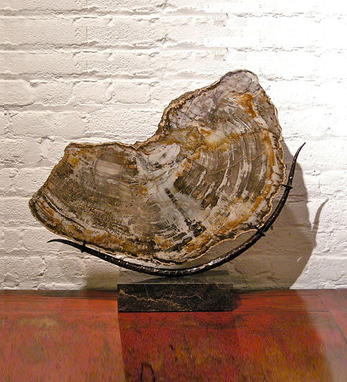 Petrified Wood