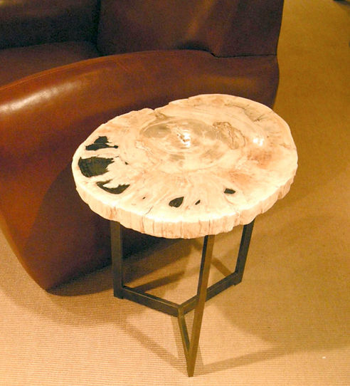 Petrified Wood Slab on Steel Base