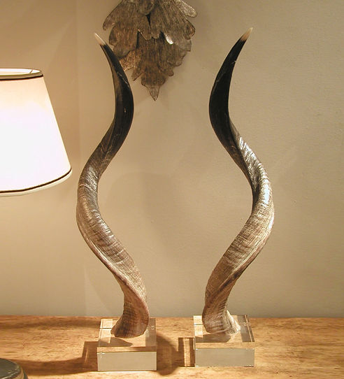Kudu Horns